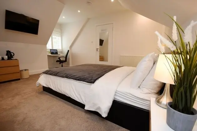 Deluxe Tek Büyük Yataklı Oda, Banyolu/Duşlu