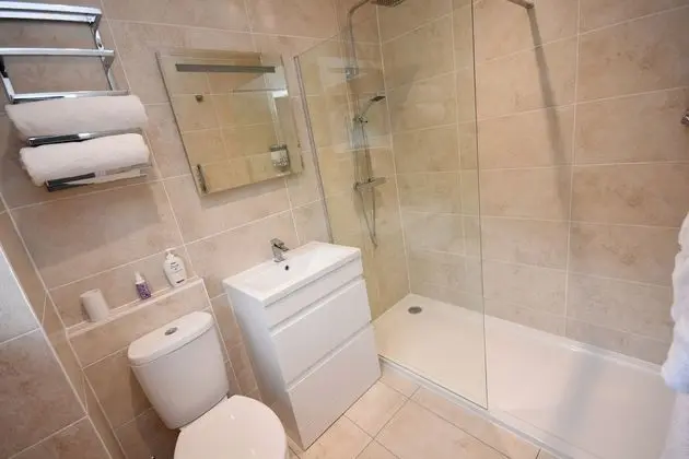 Deluxe Tek Büyük Yataklı Oda, Banyolu/Duşlu