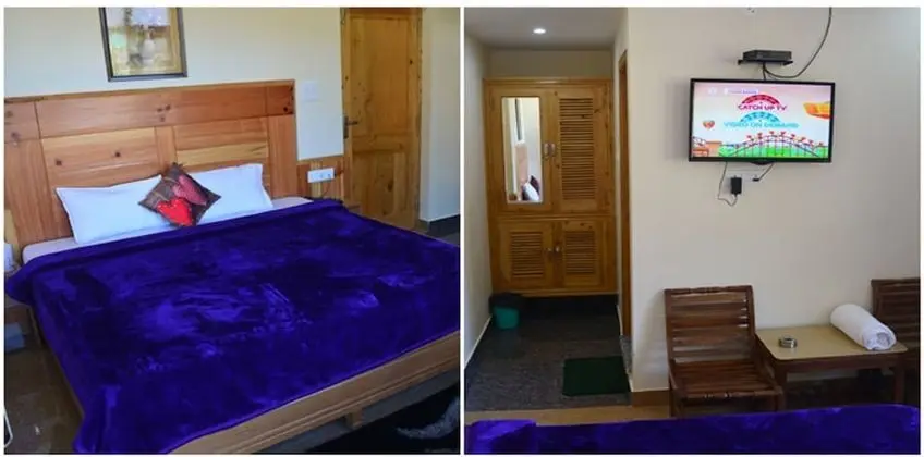 Deluxe Oda, 1 Çift Kişilik Yatak