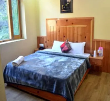 Deluxe Oda, 1 Çift Kişilik Yatak