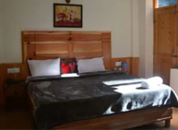 Deluxe Oda, 1 Çift Kişilik Yatak