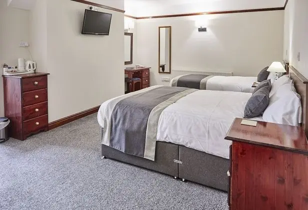 Triple or Twin Room, Multiple Beds