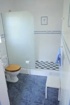 Standard Tek Büyük Yataklı Oda, 1 Çift Kişilik Yatak, Banyolu/Duşlu