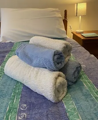 Tek Büyük veya İki Ayrı Yataklı Oda, Banyolu/Duşlu, Deniz Manzaralı (Sea Holly)