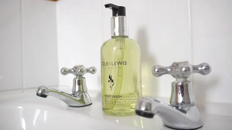 Tek Büyük veya İki Ayrı Yataklı Oda, Banyolu/Duşlu, Deniz Manzaralı (Sea Holly)