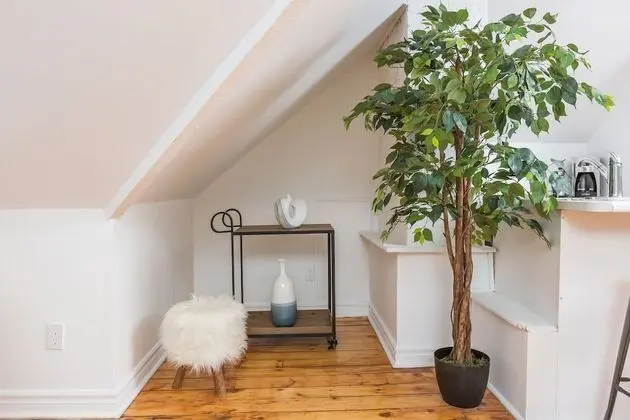 Executive Çatı Katı (Loft), Birden Çok Yatak