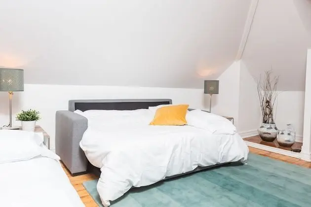 Executive Çatı Katı (Loft), Birden Çok Yatak