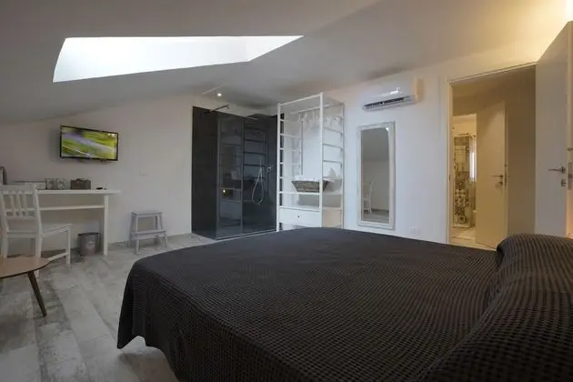 Superior Tek Büyük Yataklı Oda