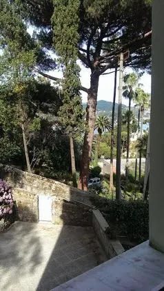 Economy Tek Büyük Yataklı Oda (lateral garden view)