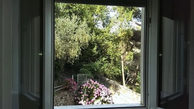 Economy Tek Büyük Yataklı Oda (lateral garden view)