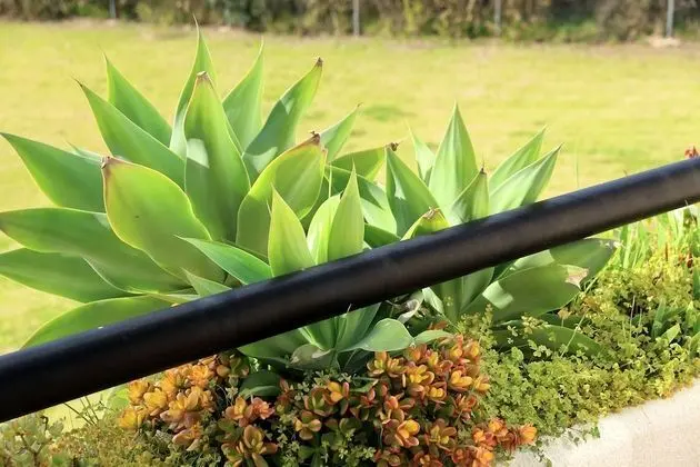 Apart Daire, 2 Yatak Odası, Balkon