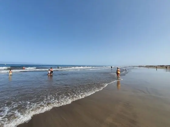 Apart Daire, 1 Yatak Odası (Patronato A)