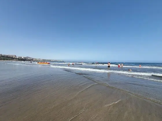 Apart Daire, 1 Yatak Odası (Patronato A)