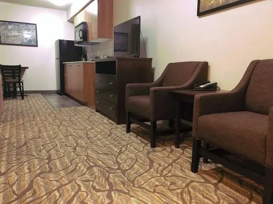 City Stüdyo, Şehir Manzaralı