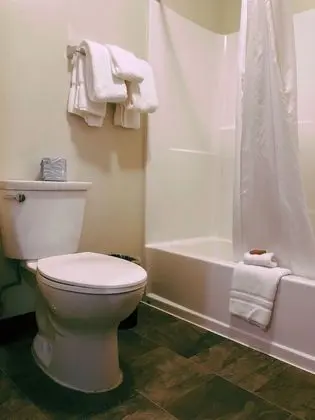 City Stüdyo, Şehir Manzaralı