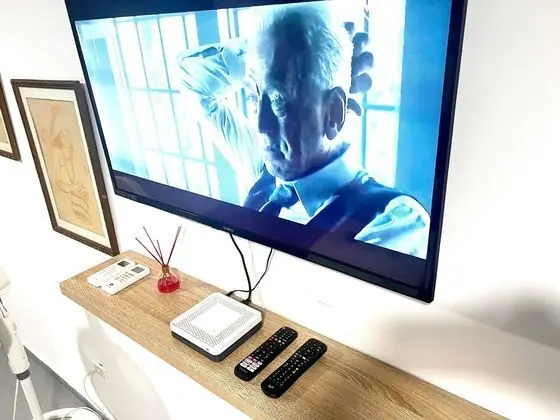 Televizyon
