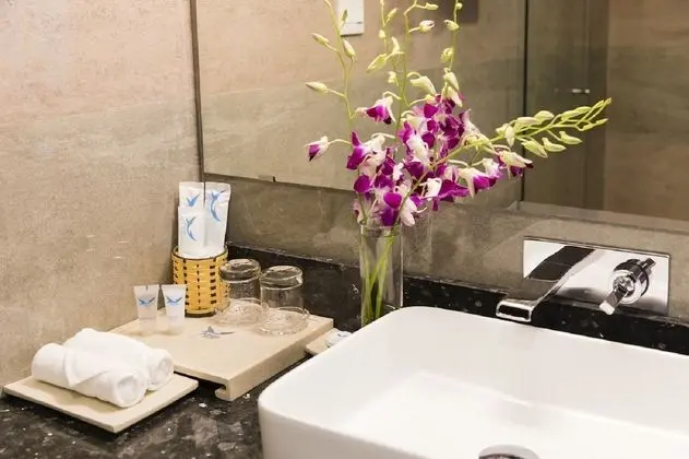 Superior Tek Büyük veya İki Ayrı Yataklı Oda, Şehir Manzaralı