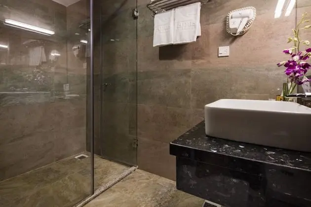 Superior Tek Büyük veya İki Ayrı Yataklı Oda, Şehir Manzaralı