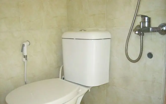 Deluxe Tek Büyük Yataklı Oda, 1 Büyük (Queen) Boy Yatak