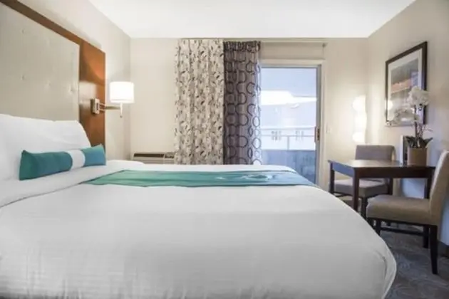 Oda, 1 En Büyük (King) Boy Yatak