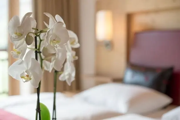 Junior Süit, Balkon, Dağ Manzaralı (South incl. free entrance AQUA Dome)