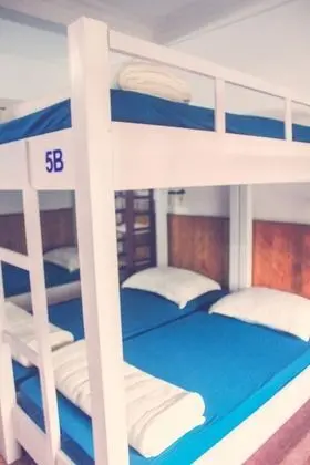 Ortak Ranzalı Oda, Karma Ranzalı Oda, Şehir Manzaralı (Bed in 14-bed)