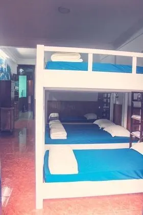 Ortak Ranzalı Oda, Karma Ranzalı Oda, Şehir Manzaralı (Bed in 14-bed)
