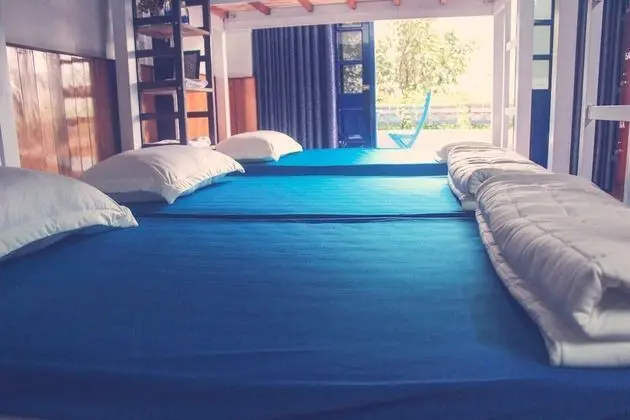 Ortak Ranzalı Oda, Karma Ranzalı Oda, Şehir Manzaralı (Bed in 14-bed)