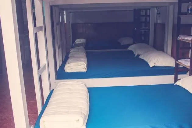 Ortak Ranzalı Oda, Karma Ranzalı Oda, Şehir Manzaralı (Bed in 14-bed)