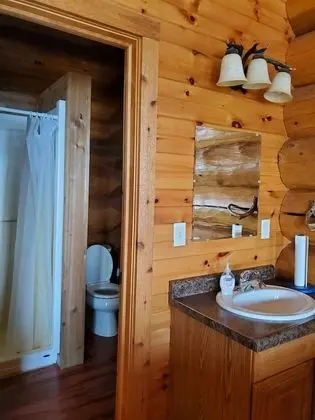 Aqua Log Cabin #15