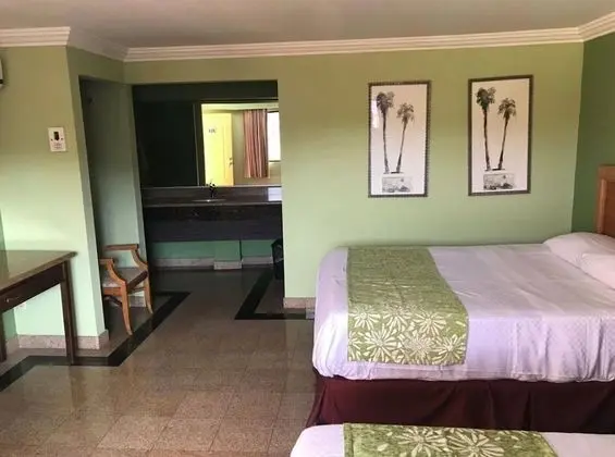 Deluxe Tek Büyük Yataklı Oda (con Aire Acondicionado y Calefaccion)
