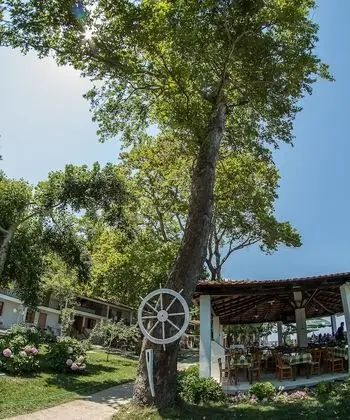 Comfort Tek Büyük veya İki Ayrı Yataklı Oda