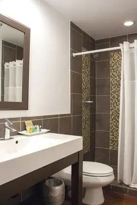 Premium Tek Büyük Yataklı Oda, 2 Büyük (Queen) Boy Yatak