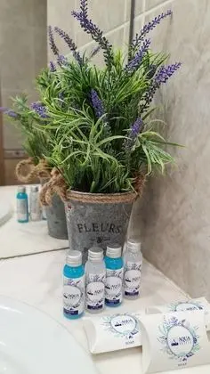 Premium Tek Büyük veya İki Ayrı Yataklı Oda