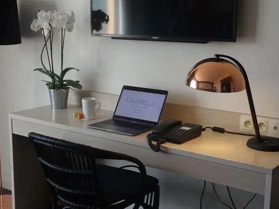 Tek Büyük Yataklı Oda, Balkon (Privilege)
