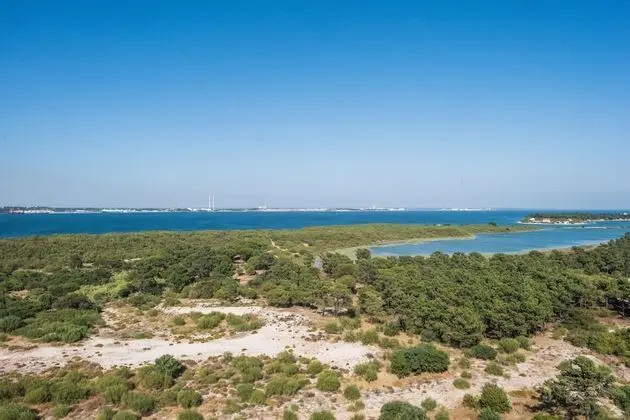 Premium Süit, 2 Yatak Odası