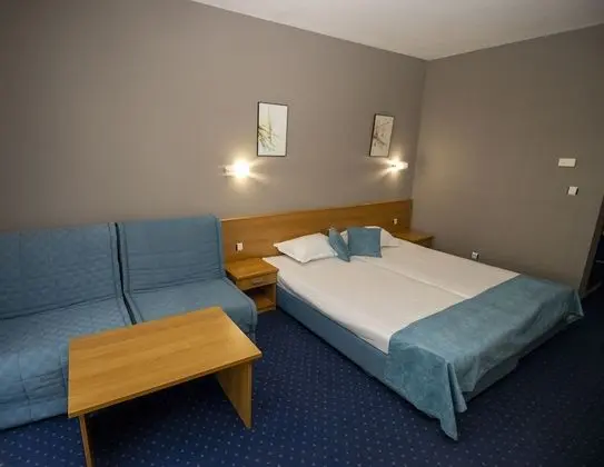 Standard Tek Büyük veya İki Ayrı Yataklı Oda