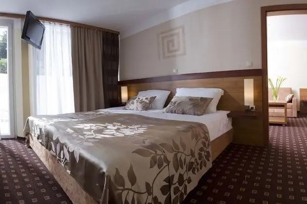 Superior Tek Büyük veya İki Ayrı Yataklı Oda