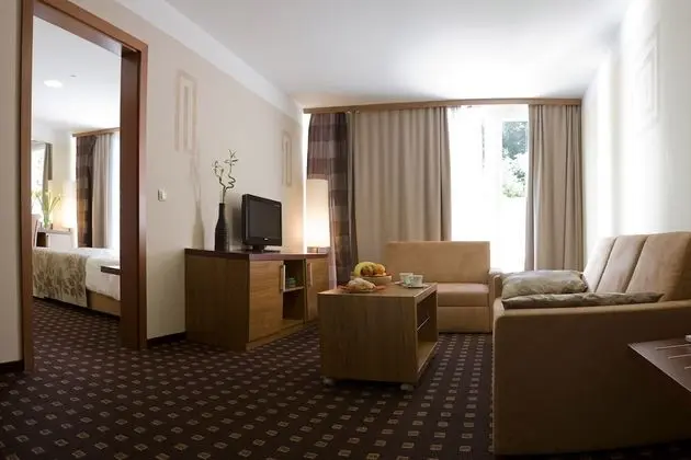 Superior Tek Büyük veya İki Ayrı Yataklı Oda