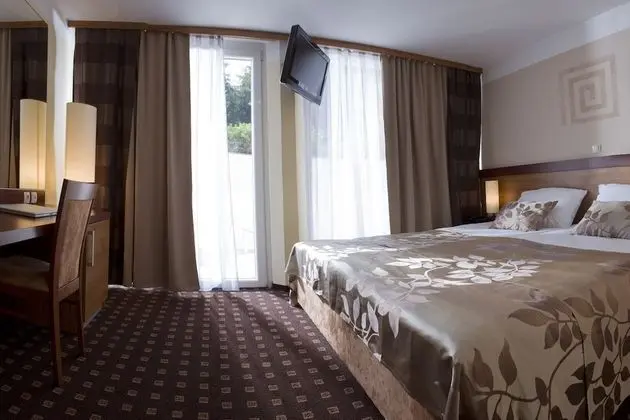 Superior Tek Büyük veya İki Ayrı Yataklı Oda