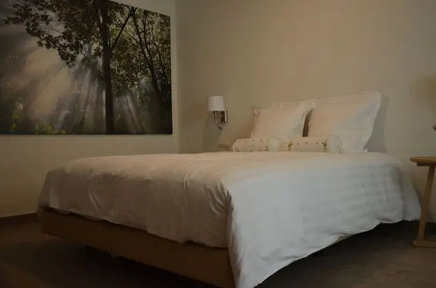 Comfort Tek Büyük Yataklı Oda, 1 Büyük (Queen) Boy Yatak, Bahçe Manzaralı ( Eik)