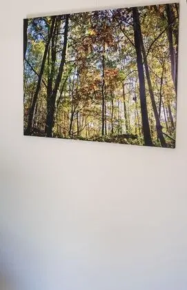 Comfort Tek Büyük Yataklı Oda, 1 Büyük (Queen) Boy Yatak, Bahçe Manzaralı ( Eik)