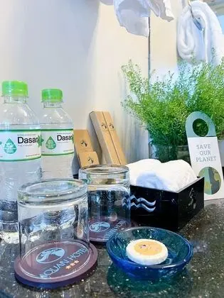 Deluxe Tek Büyük veya İki Ayrı Yataklı Oda
