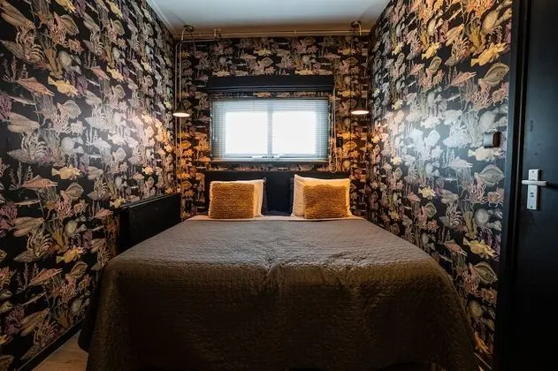 Deluxe Stüdyo Süit