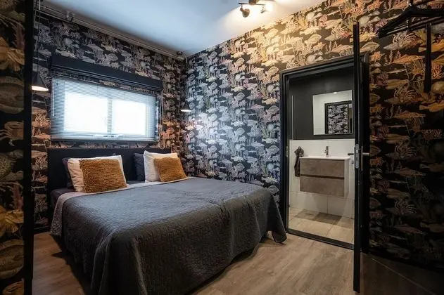 Deluxe Stüdyo Süit