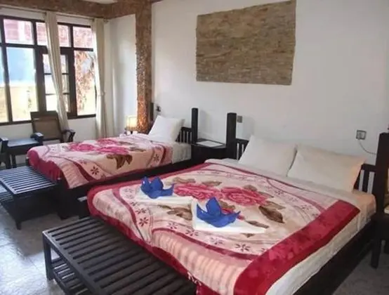 Family Oda