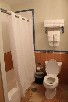Stüdyo Süit, 2 Çift Kişilik Yatak