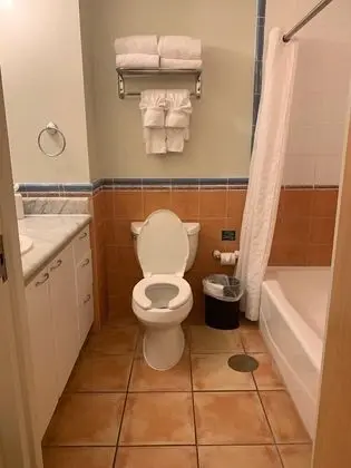 Stüdyo Süit, 2 Çift Kişilik Yatak