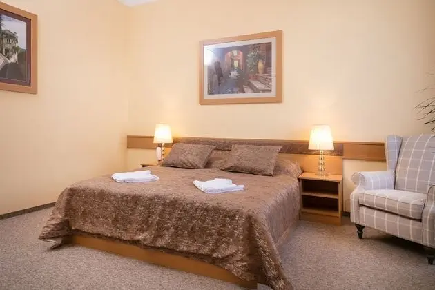 Premium Tek Büyük Yataklı Oda, 1 Büyük (Queen) Boy Yatak, Sigara İçilmez