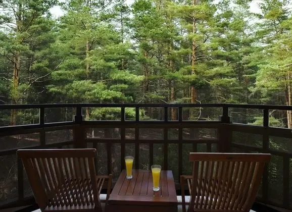 Village Family Superior Room Garden View